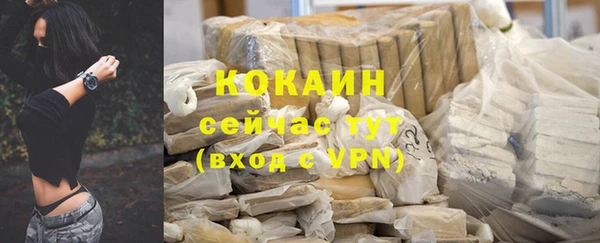 тгк Гусев