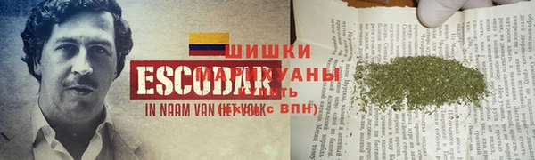 тгк Гусев