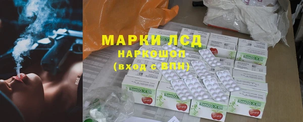 тгк Гусев