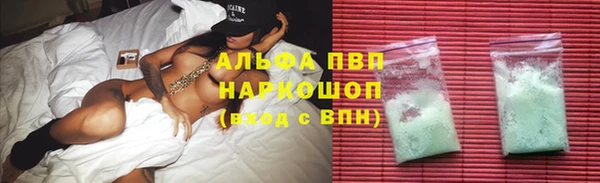 тгк Гусев