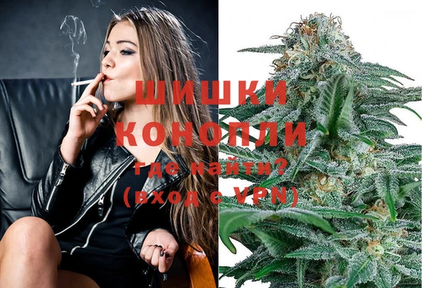 тгк Гусев