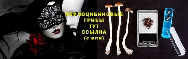 ГАЛЛЮЦИНОГЕННЫЕ ГРИБЫ Гусиноозёрск