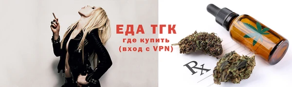 тгк Гусев