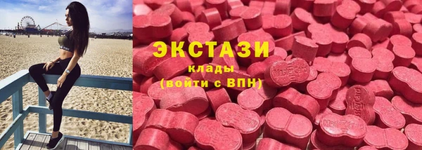 тгк Гусев