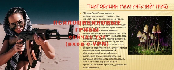 ГАЛЛЮЦИНОГЕННЫЕ ГРИБЫ Гусиноозёрск