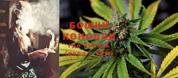тгк Гусев