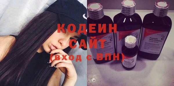 тгк Гусев