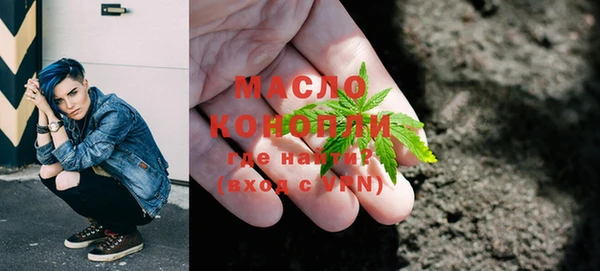 тгк Гусев