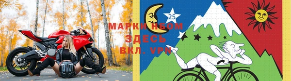 ГАЛЛЮЦИНОГЕННЫЕ ГРИБЫ Гусиноозёрск