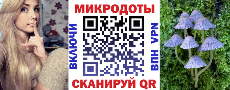 Галлюциногенные грибы ЛСД  Городище 